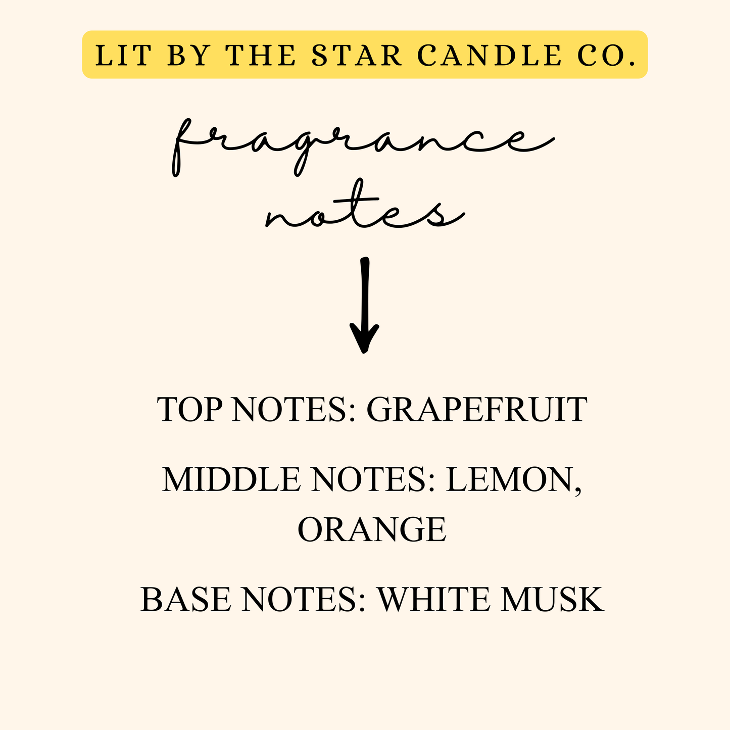 Citrus Blend 6pk Wax Melts