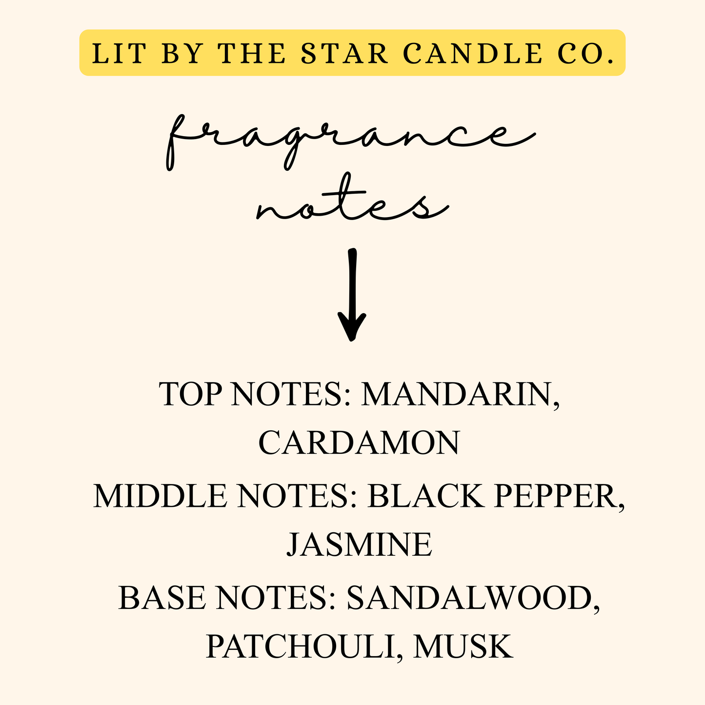 Noir Spice 6pk Wax Melts