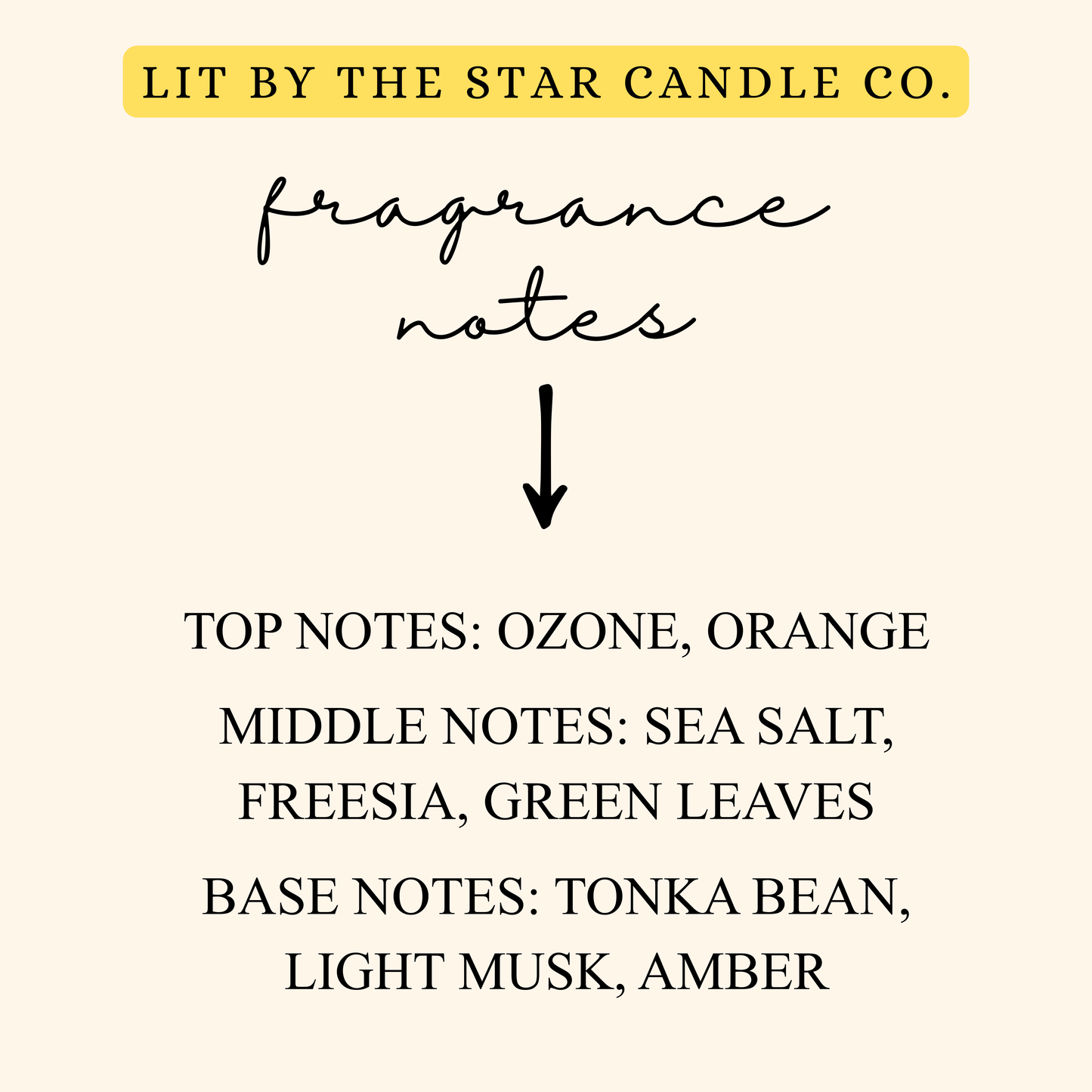 Oceania 6pk Wax Melts