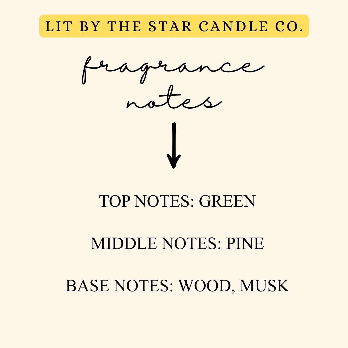 Balsam Fir -  Matte Black Glass Coconut Soy Candle