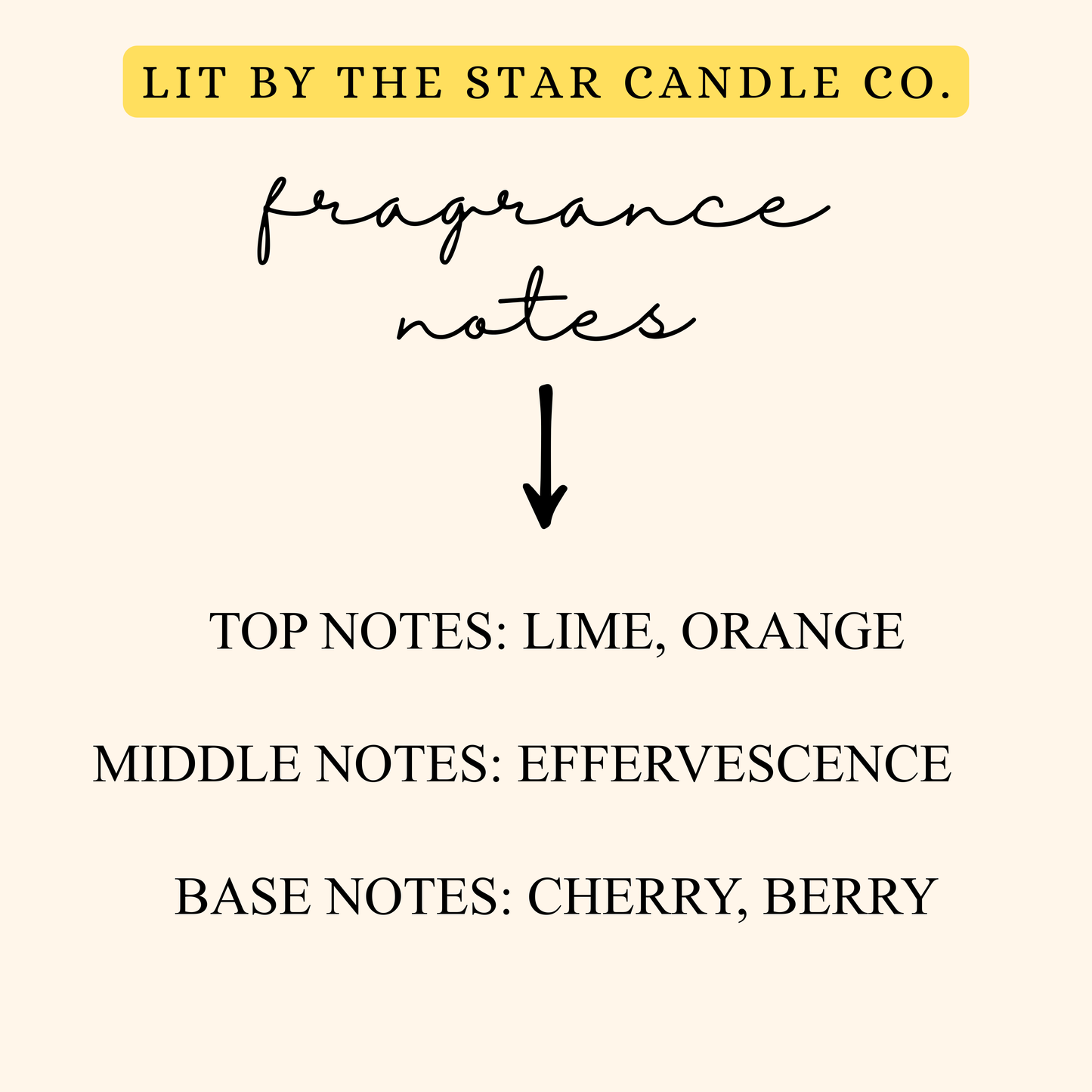 Bite Me 6pk Wax Melts