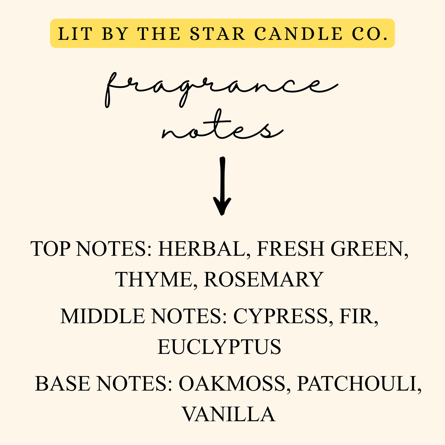 Christmas Tree -  Matte Black Glass Coconut Soy Candle