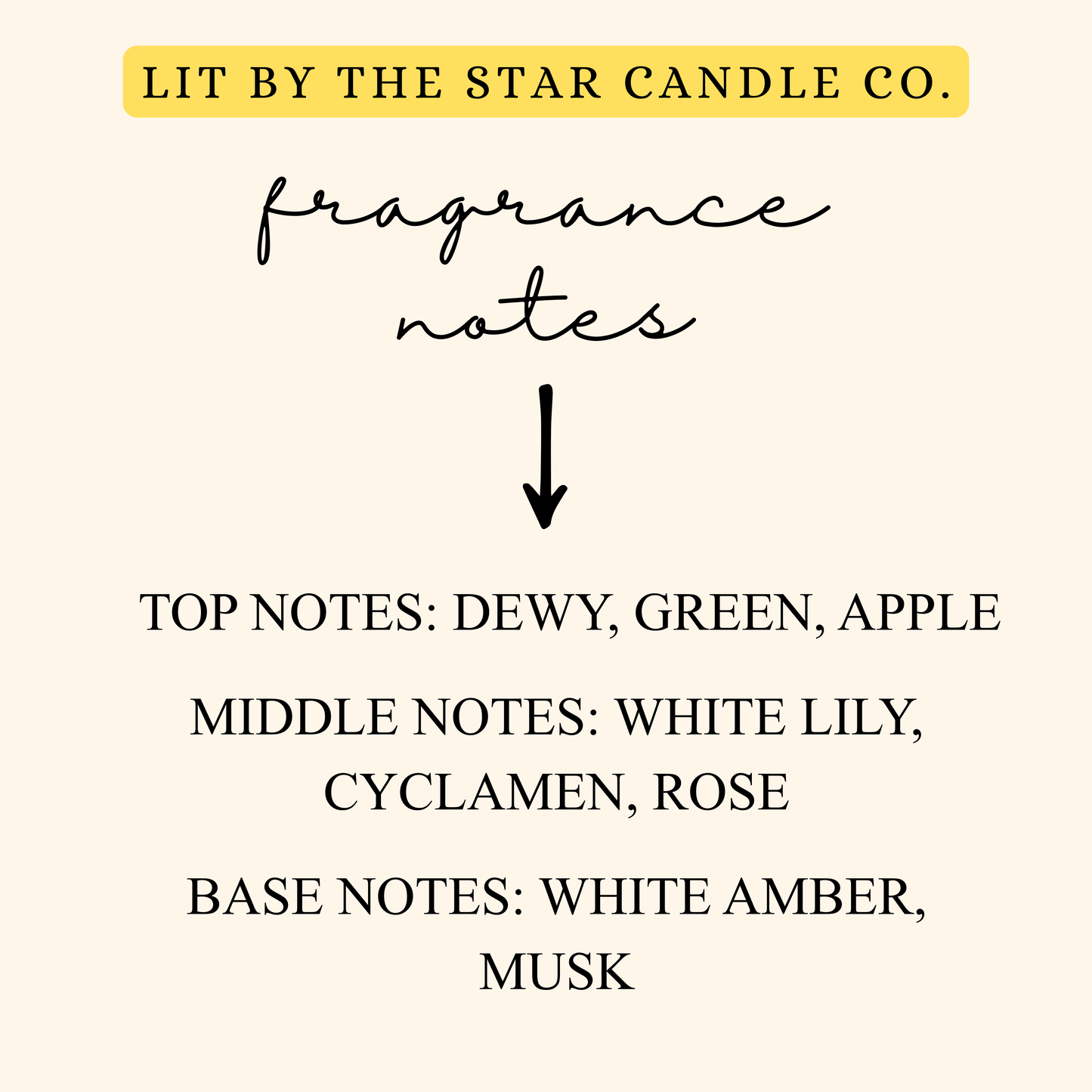 Dewy Blush -  Matte Black Glass Coconut Soy Candle