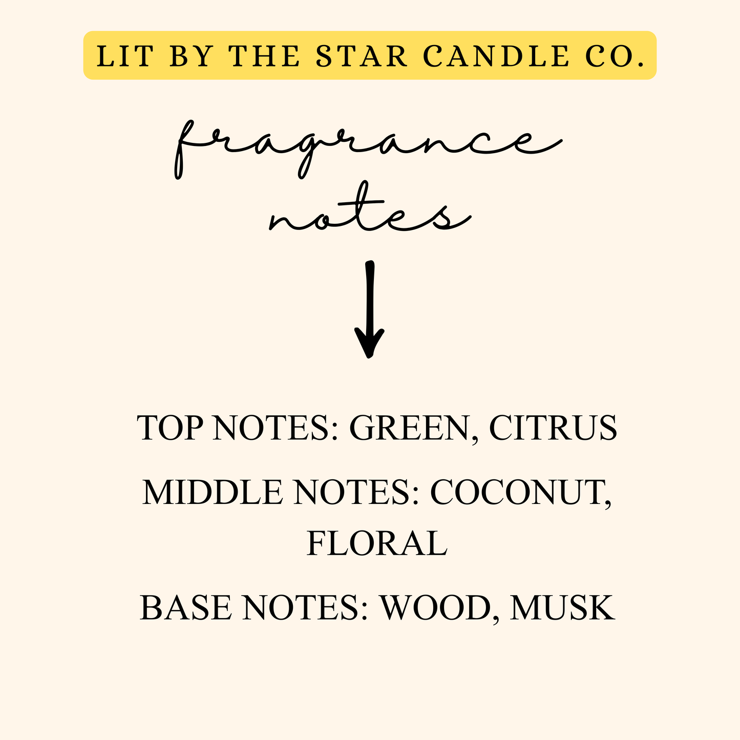 Green Cactus - Matte Black Glass Coconut Soy Candle