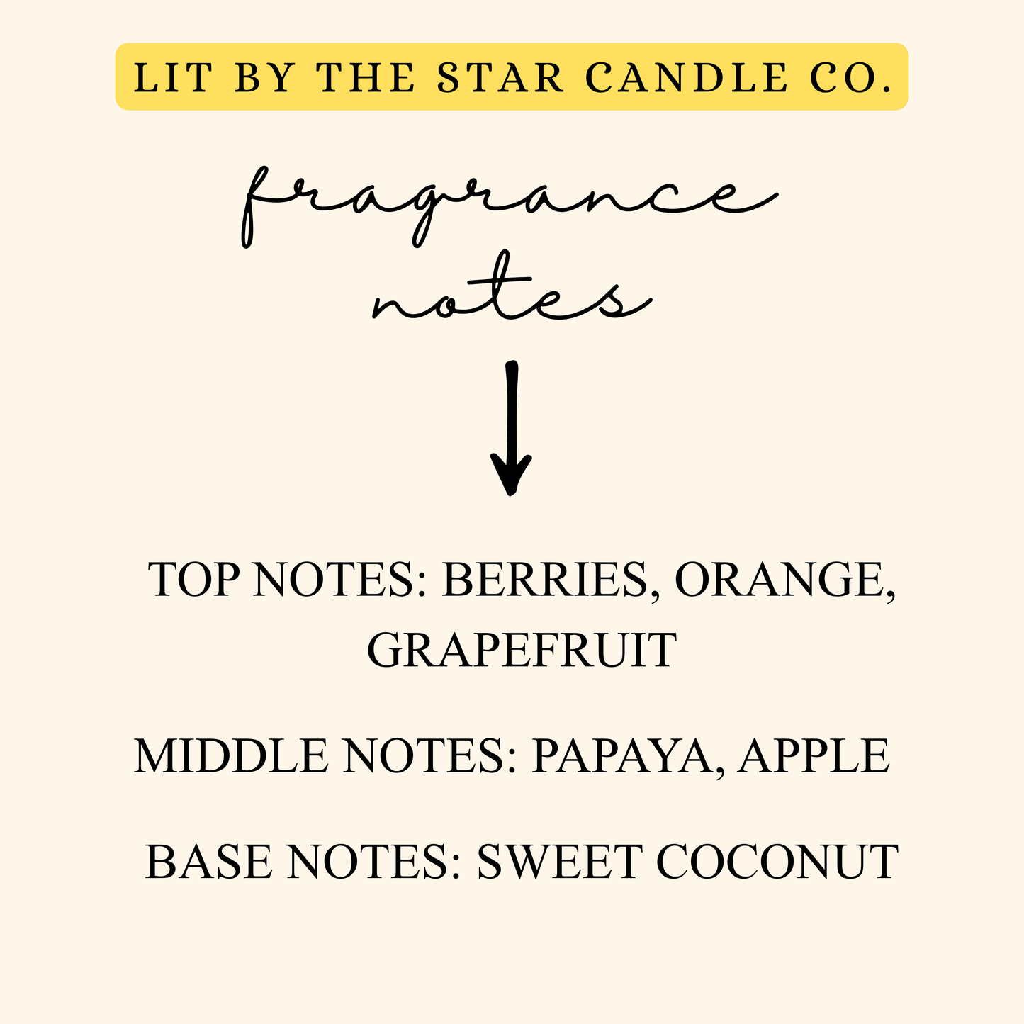 Island Escape 6pk Wax Melts