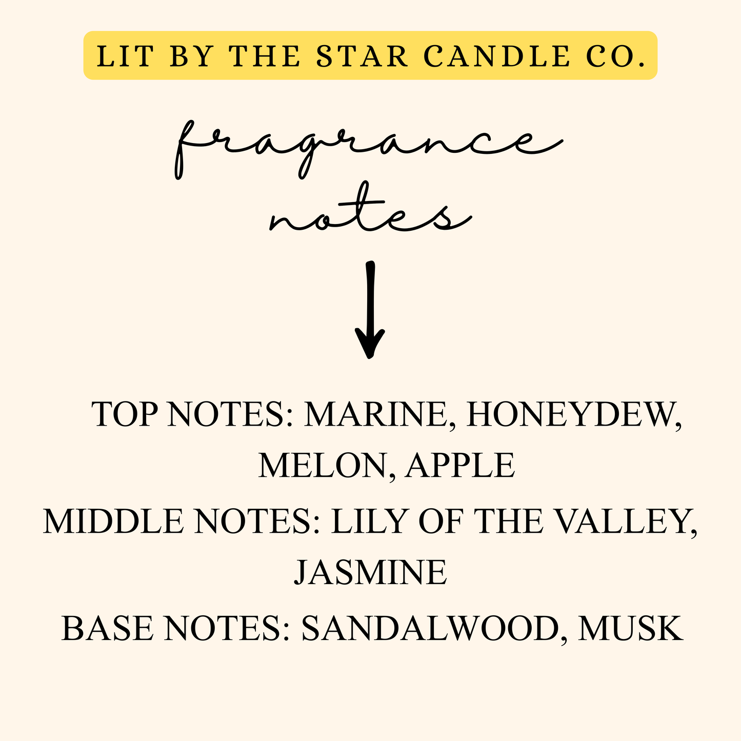 Marina - Matte Black Glass Coconut Soy Candle
