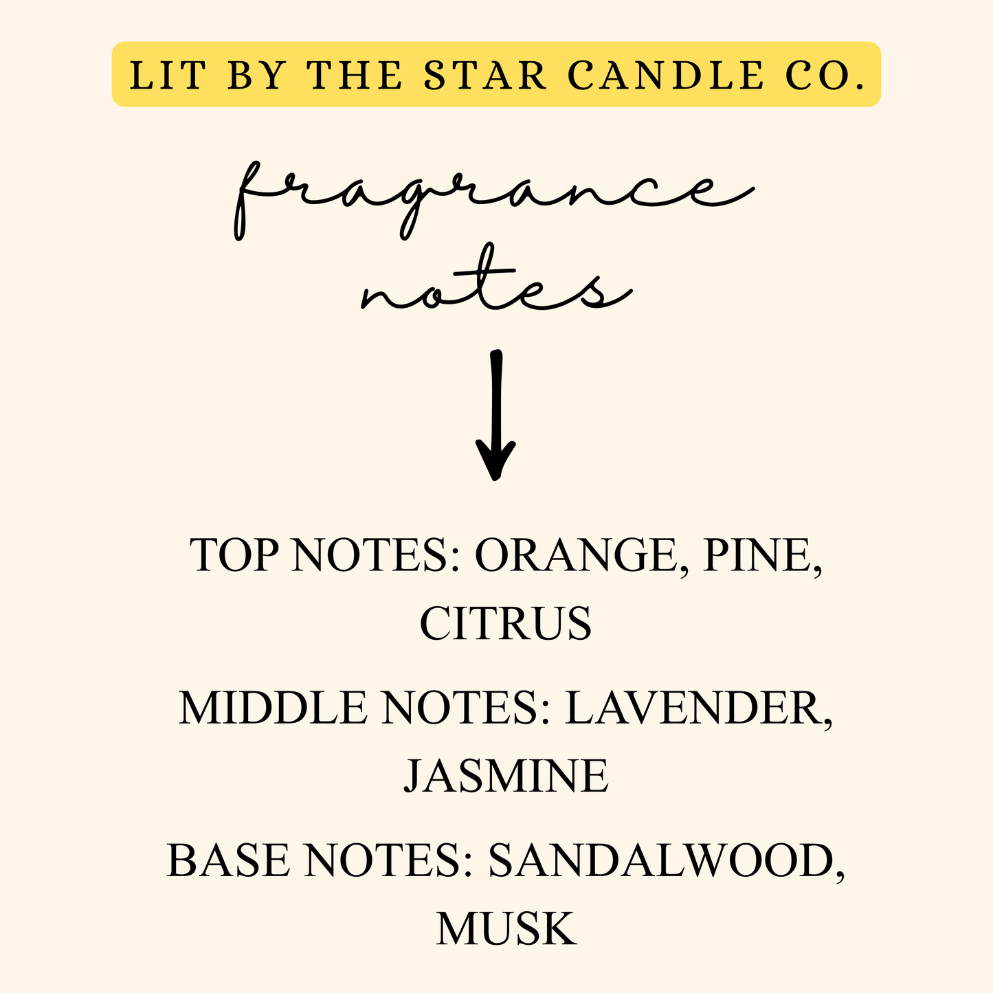 Midnight Frost Car Diffuser