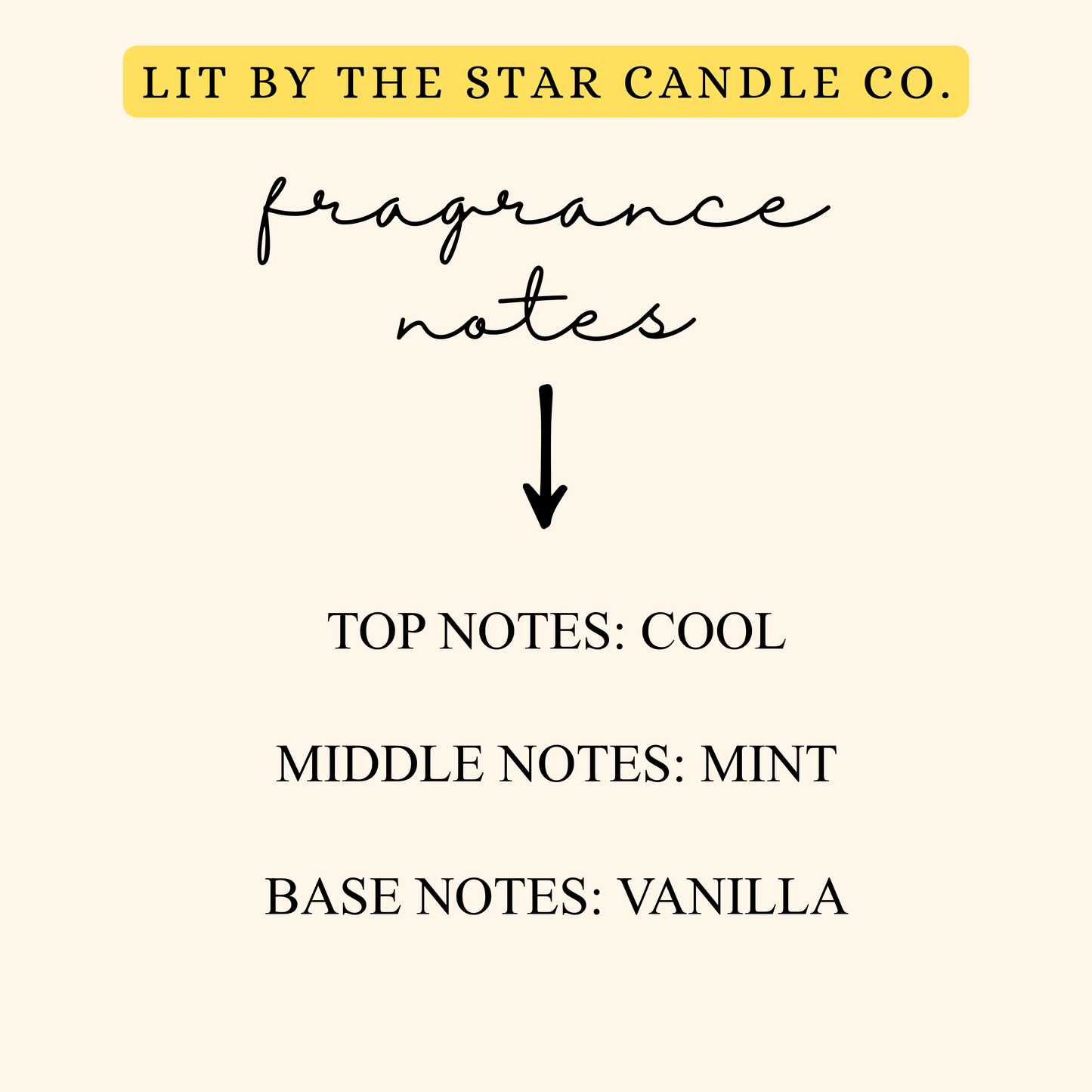 Minted Noel -  Matte Black Glass Coconut Soy Candle