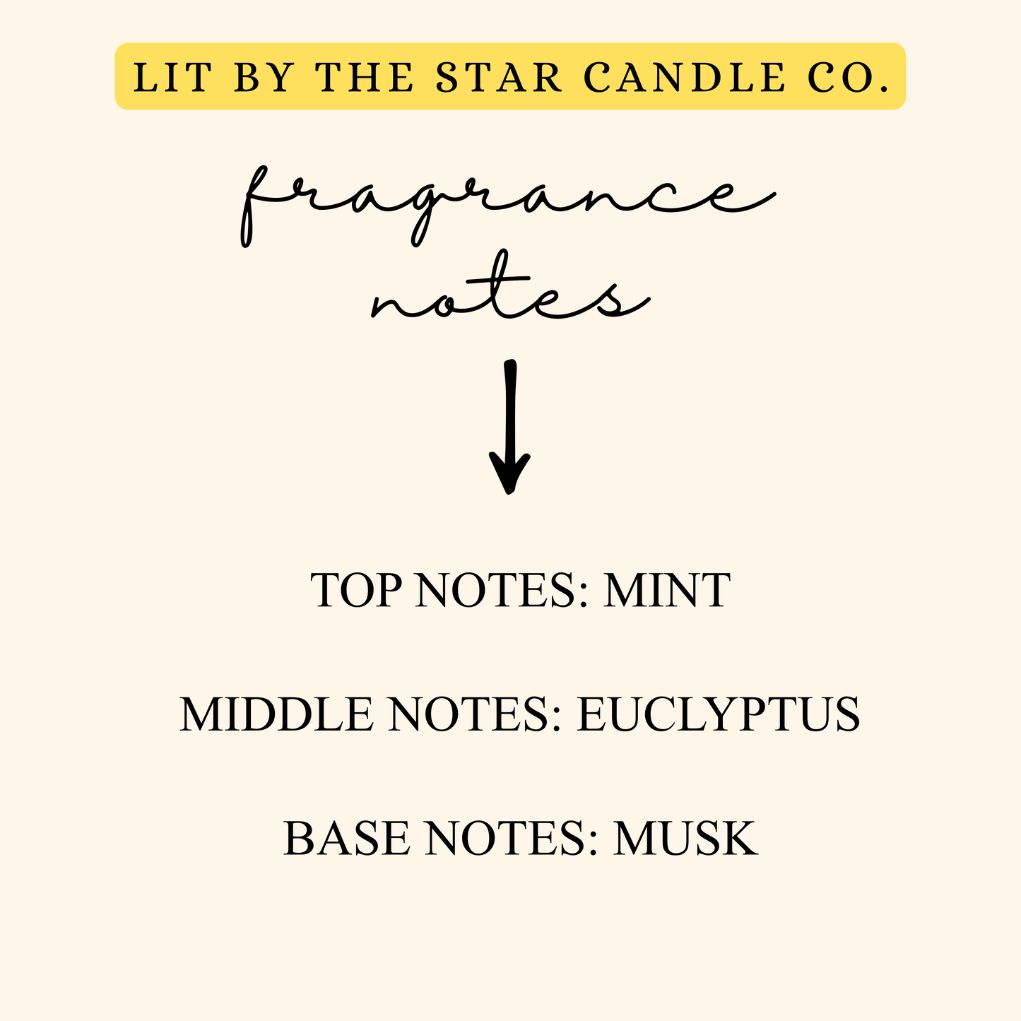 Minty Leaves - Matte Black Glass Coconut Soy Candle
