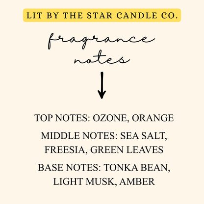 Oceania 6pk Wax Melts