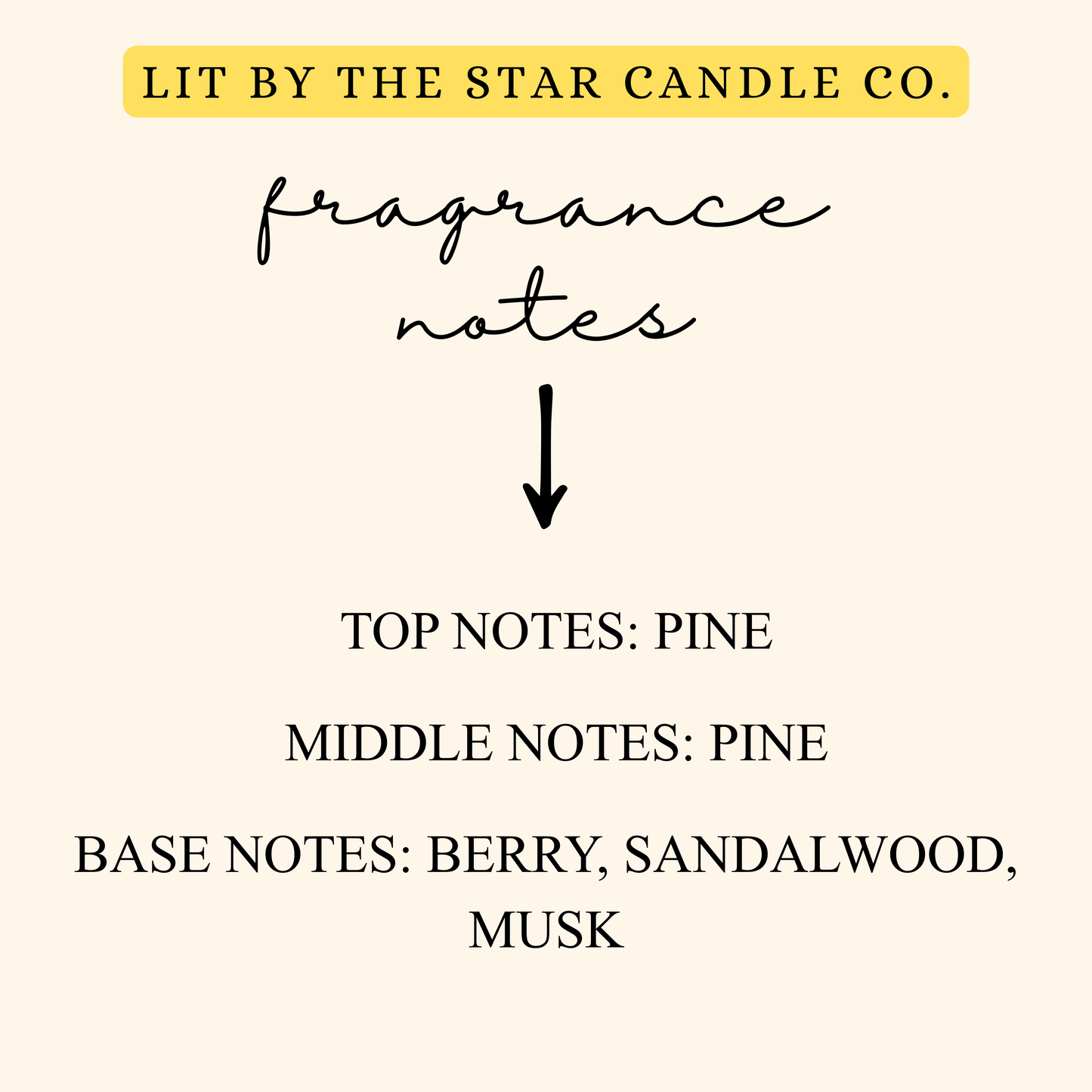 Pine Cone -  Matte Black Glass Coconut Soy Candle
