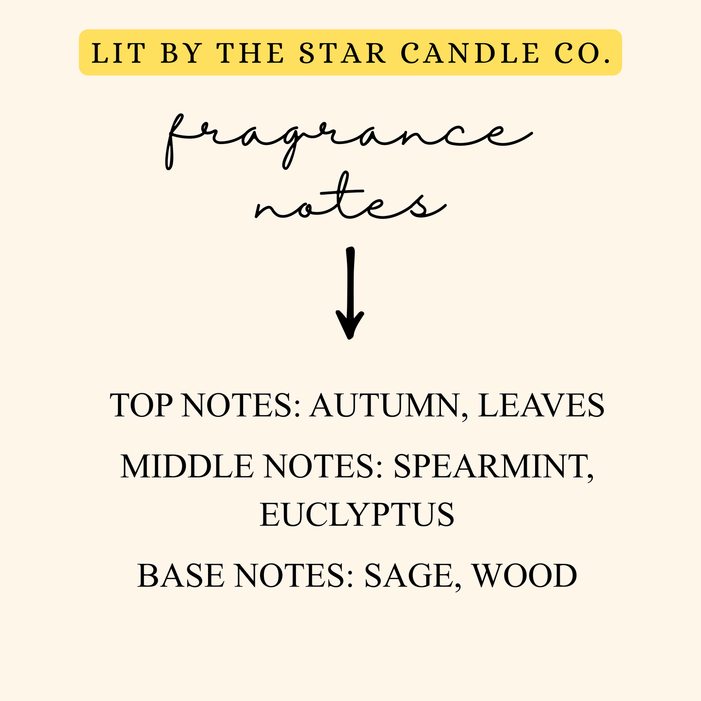 Warm & Cozy -  Matte Black Glass Coconut Soy Candle
