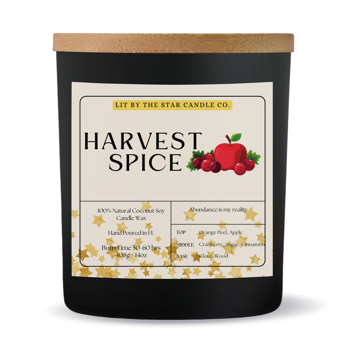 Harvest Spice -  Matte Black Glass Coconut Soy Candle